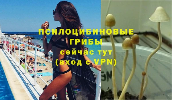 каннабис Аркадак