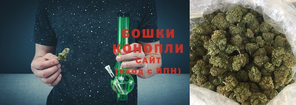 прущие грибы Арсеньев