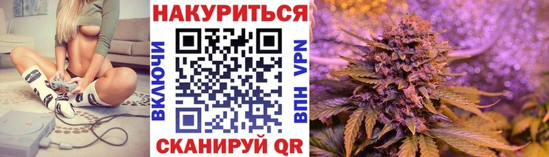 Марихуана OG Kush Зима